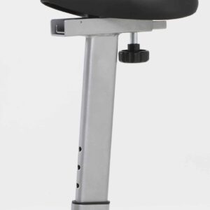 Cyclette Magnetica Toorx BRX Easy