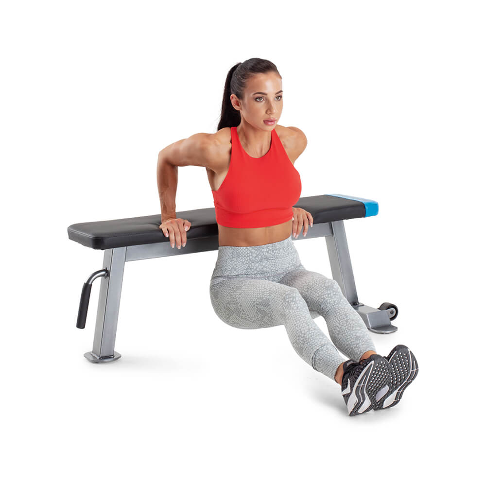proform-carbon-strength-flat-bench-features-view-3-pfbe09620 proform-carbon-strength-flat-bench-features-view-3-pfbe09620