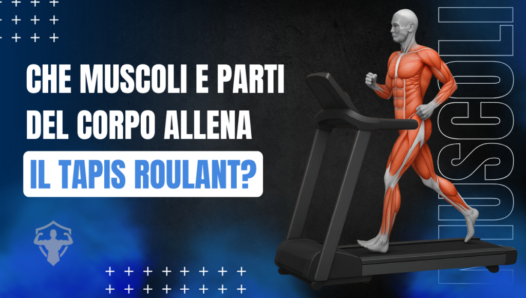 Che Muscoli e Parti del Corpo Allena il Tapis Roulant